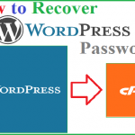 Reset WordPress Password With Control Panel