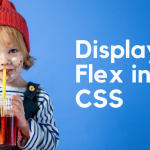 Display Flex in CSS